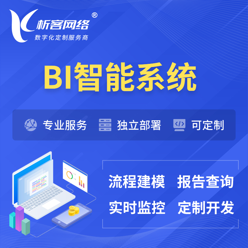锦州BI智能系统 | BI数据可视化